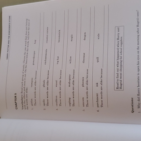 Harry Potter and the Sorcerers Stone Novel-Ties Study Guide - Paperback - Picture 6 of 12